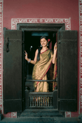 Metallic Tissue Saree - Honey Gold - - Laxha Clothing - www.laxhaclothing.com